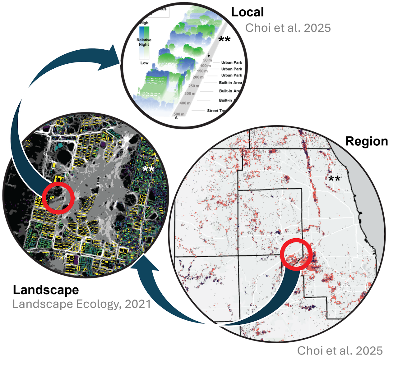 Local, region and landscape scale research cycle